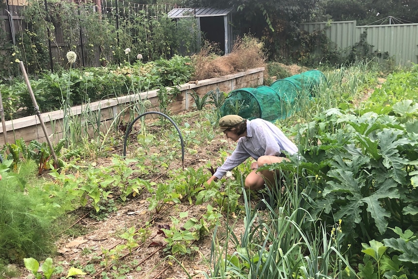 A woman in a beige hat kneels in front of a large vegetable patch.