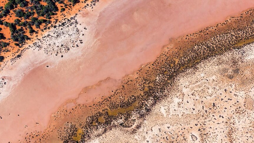 A drone photo of dead dirt coastline, meeting pink sand.