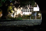 A bench under a tree in a city park, with buildings and traffic lights in the background.