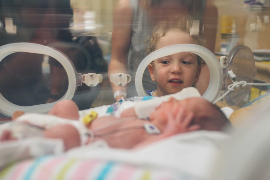 A toddler looking into an incubator at a baby