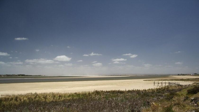 Wetter summer means acidity from recent drought is still affecting the lower Murray.