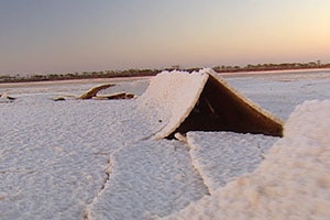 Salinity impact on land