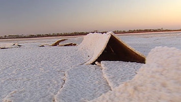 Salinity impact on land