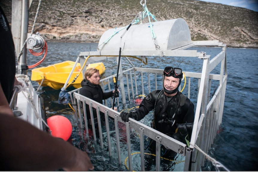 He stands in a shark-cage being pulled up from underwater