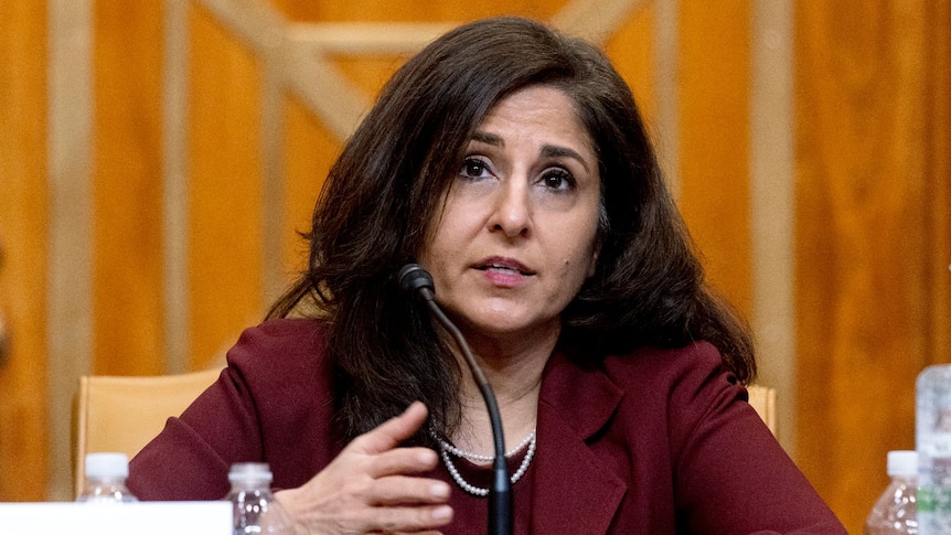 Neera Tanden speaks into a microphone during a committee hearing