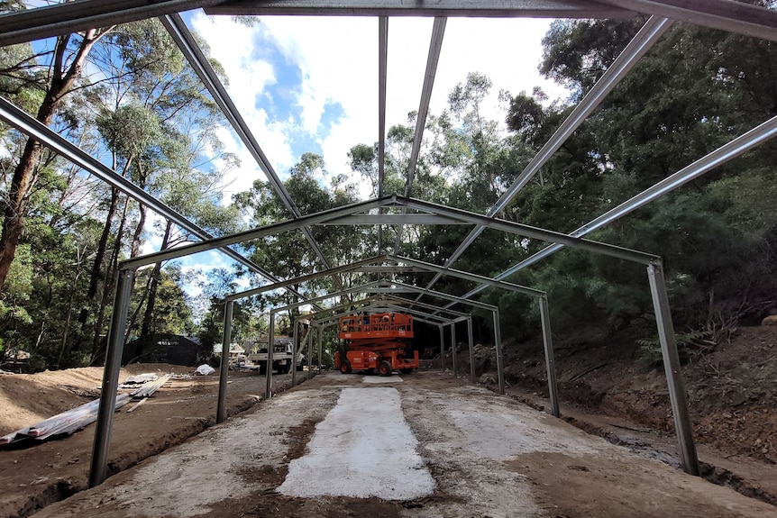 Building frame of captive breeding enclosure in the bush.