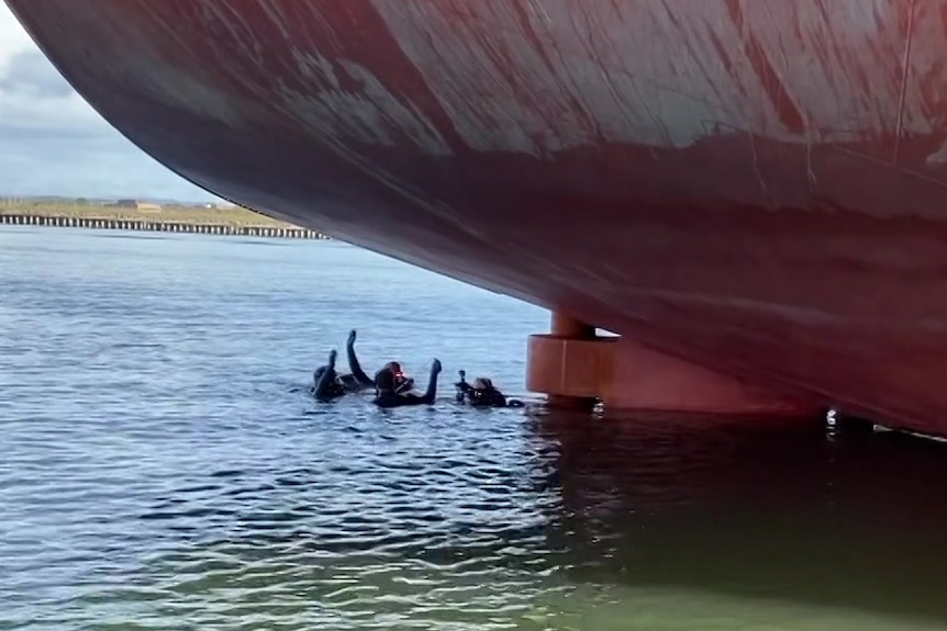 divers in the water next to a ship