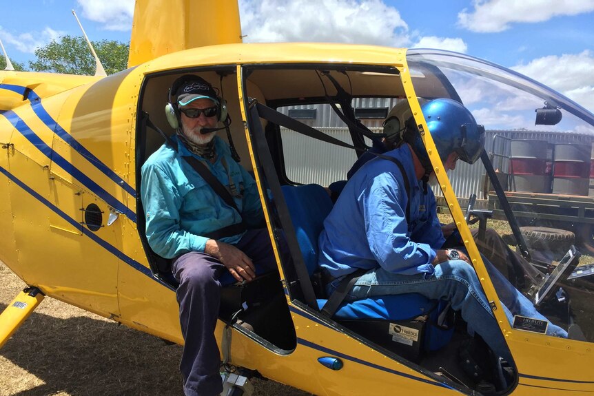 Rubber Vine is being detected from the air around the Fitzroy River with the help of a helicopter.