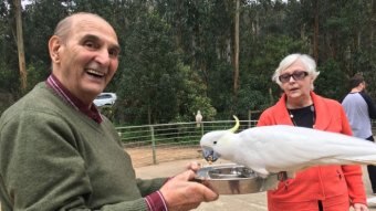 Tas Mihalakopoulos smiles as a cockatoo eats from a tray he is holding.