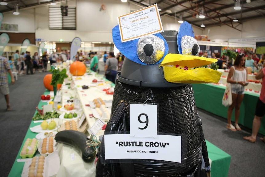 Rustle Crow at the Canberra Show