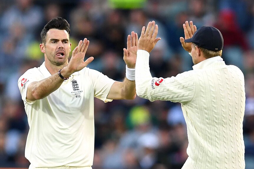 James Anderson and Joe Root give a high ten after Anderson took a wicket.
