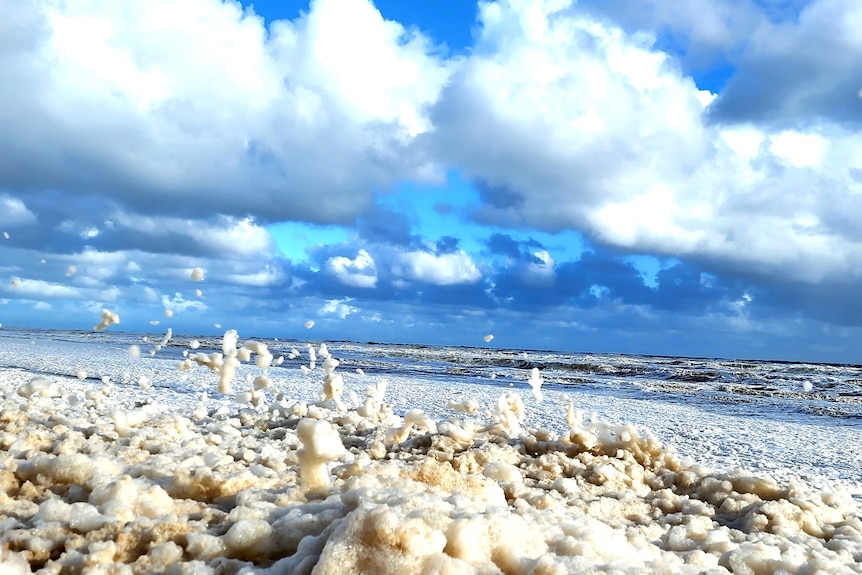 Foam in foreground with shoreline and sea in the background