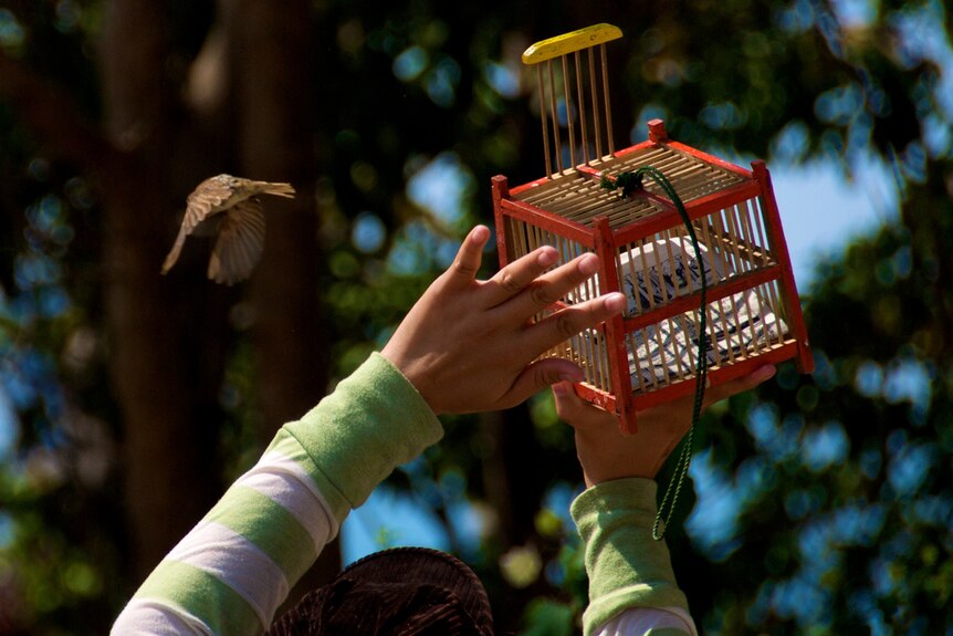 A young Thai person releasing a bird from a small cage