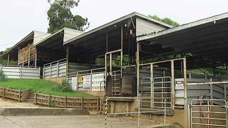 Abattoir owner angry after charges dropped