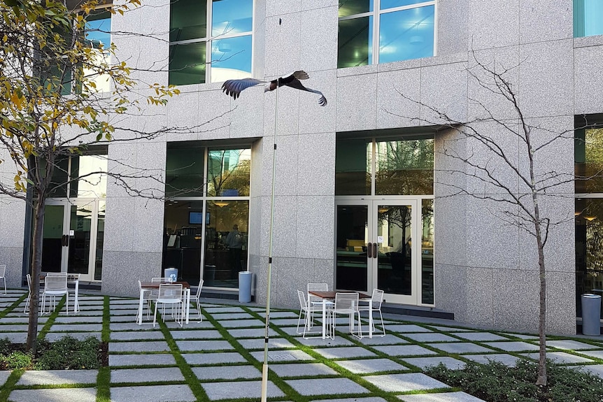 Courtyard with table and chairs has a kite shaped like an eagle flying on a stand in the centre of the area.