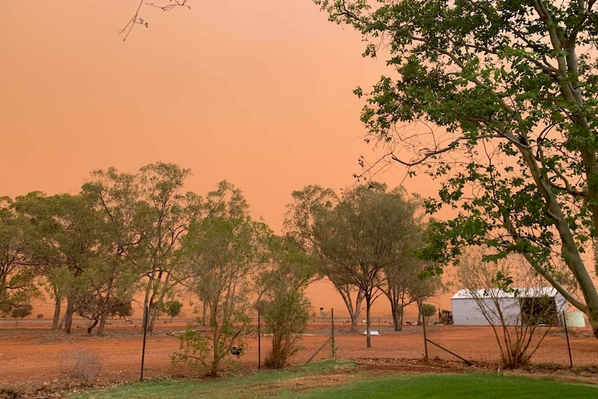 Some trees and green grass in the foreground with red dirt and red sky and a shed in the background