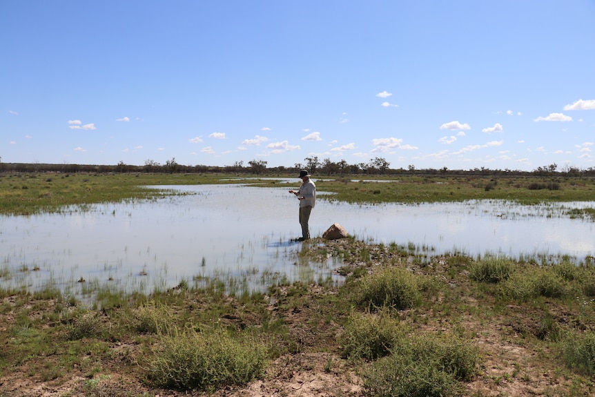 A man stands on a swamp bank, surrounded mainly by water