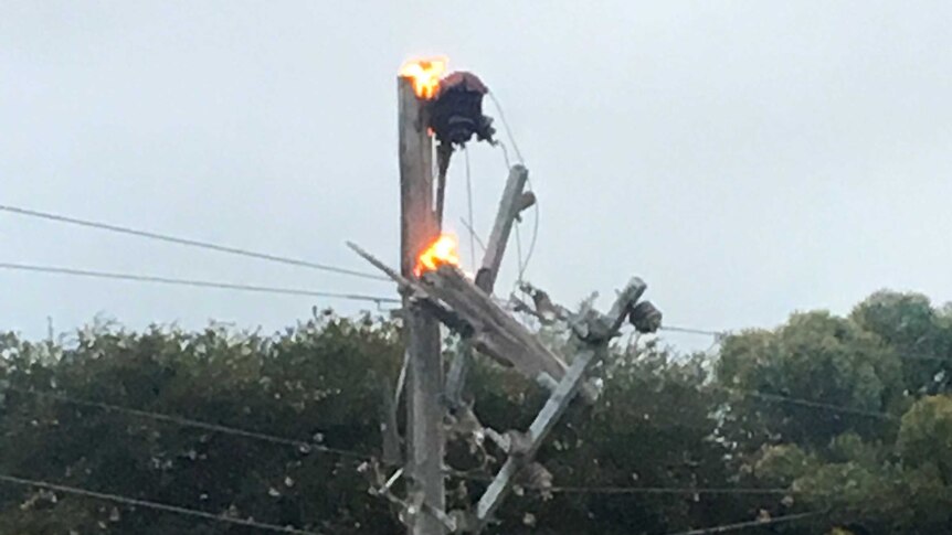 The top of an electricity pole on fire, with trees in the background.