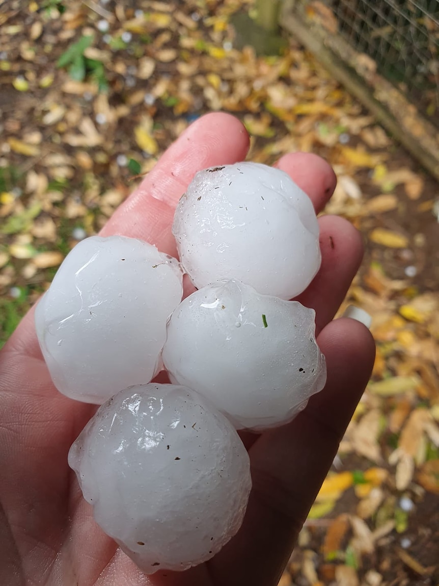 Bonville 31 October hail stone