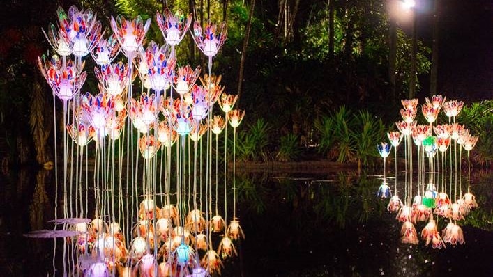 Illuminated flower sculptures standing in water in a botanical gardens.