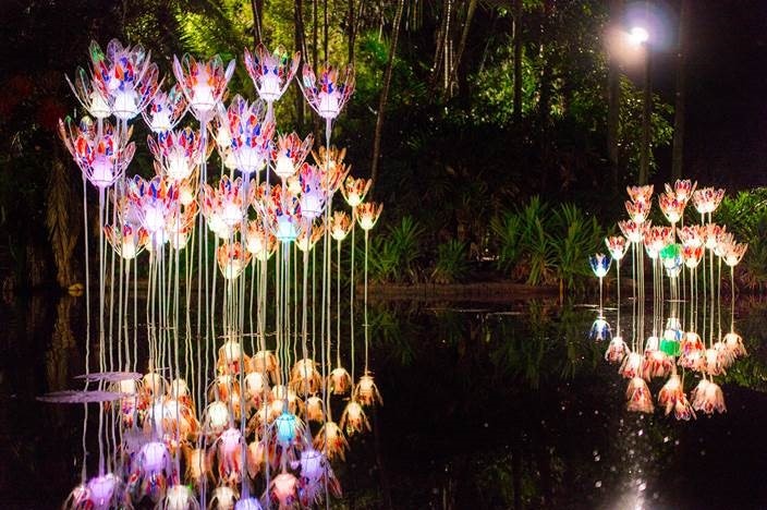 Illuminated flower sculptures standing in water in a botanical gardens.