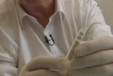 A person, wearing surgical gloves, holds an injectable device