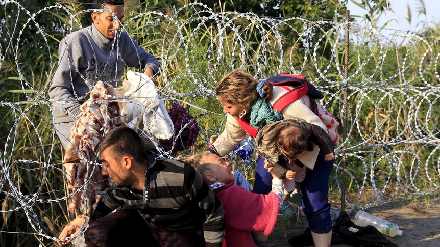 Syrian asylum seekers cross under a fence as they enter Hungary at the border with Serbia, near Roszke