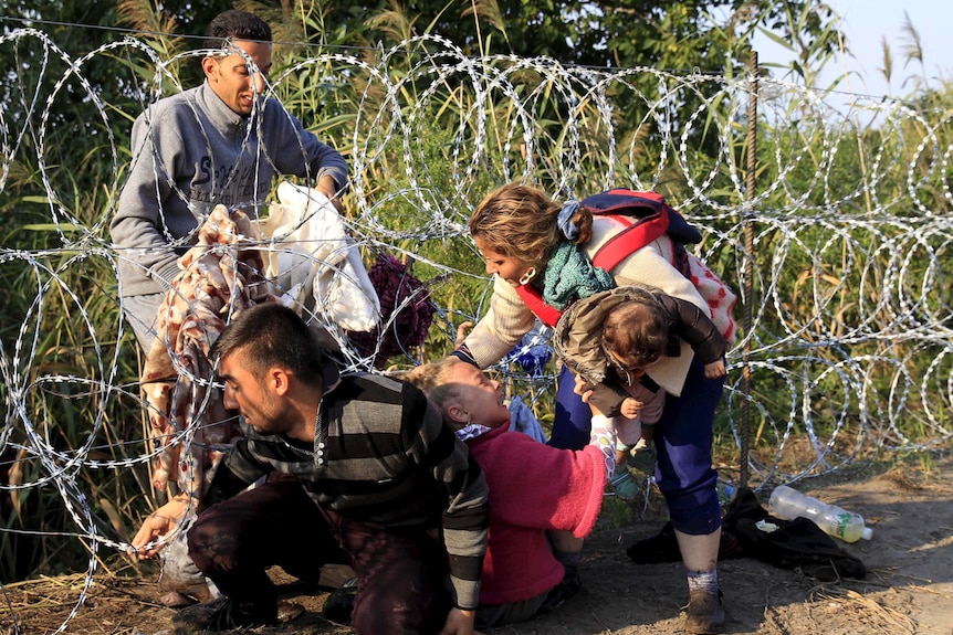 Syrian asylum seekers cross under a fence as they enter Hungary at the border with Serbia, near Roszke