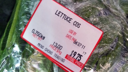 Christmas Island Cos lettuce