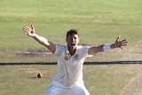 Australia's James Pattinson appeals successfully against South Africa at Newlands in March 2014.