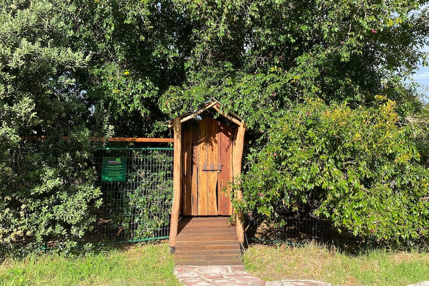 A wooden door set in the base of thick leaves and tree branches.