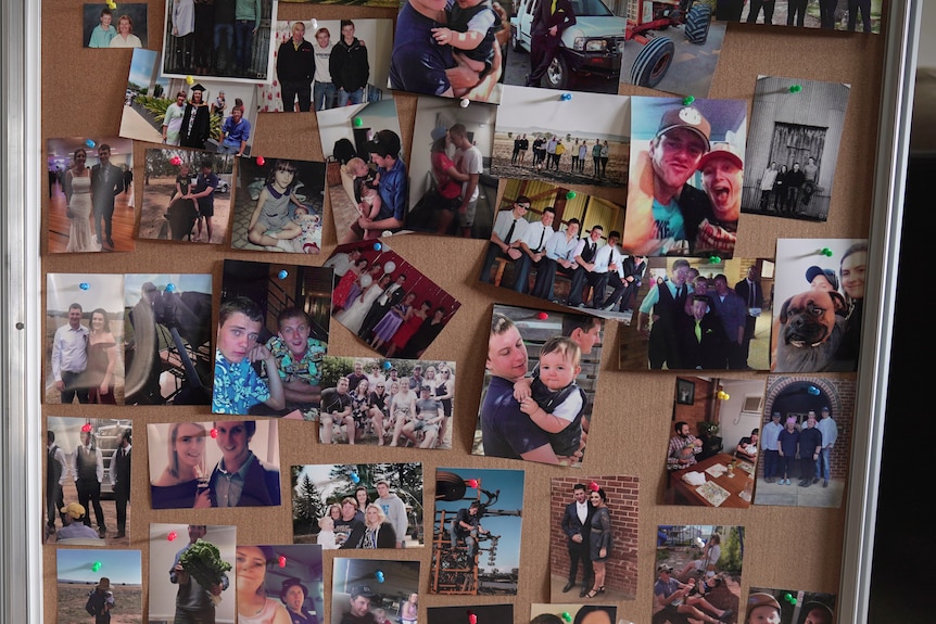 A cork board covered in photographs.
