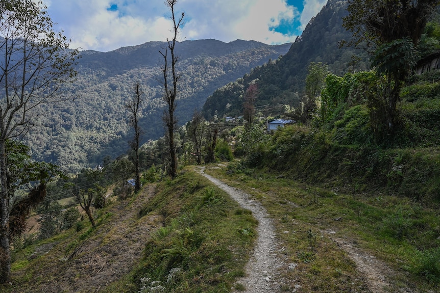 A dirt track winds through trees and grassland to a small house with mountains around