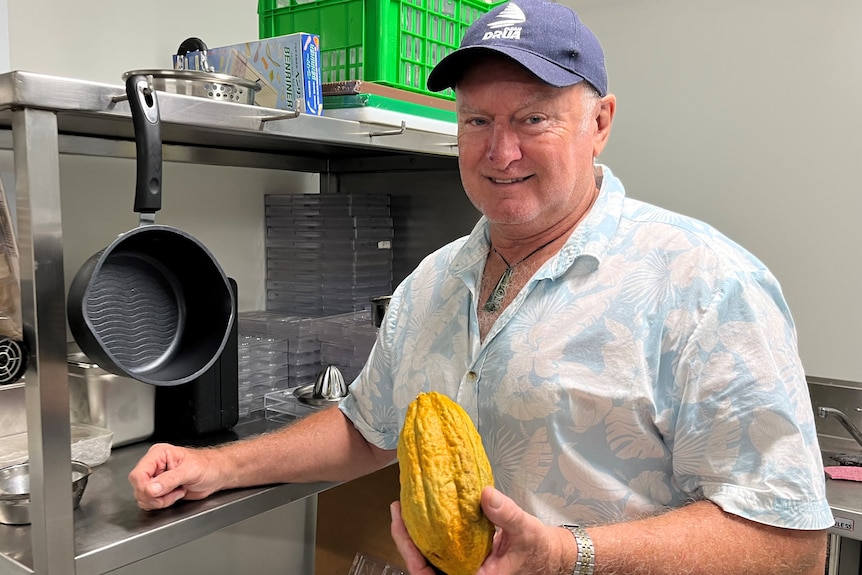 North Queensland Cocoa grower Daryl Kirk holding a cocoa bean