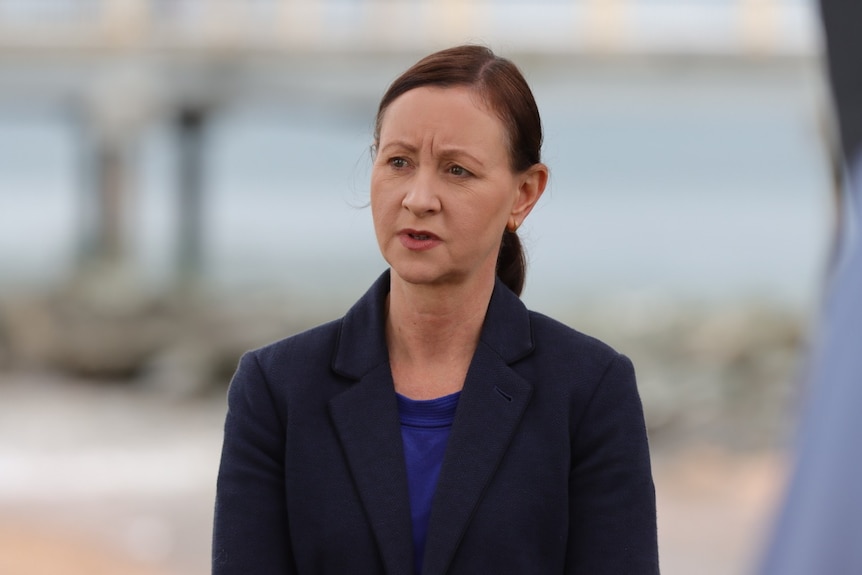 Queensland Health Minister Yvette D'Ath speaks at a media conference in Brisbane on June 26, 2021