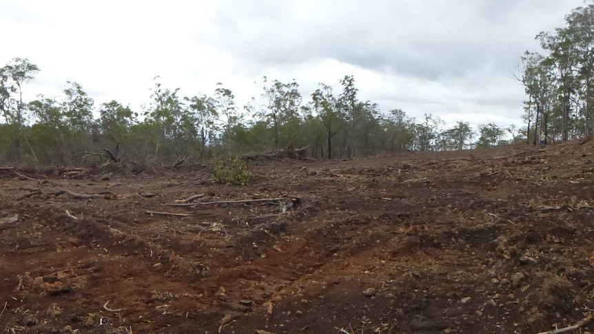 Wide shot of land clearing on central Queensland property