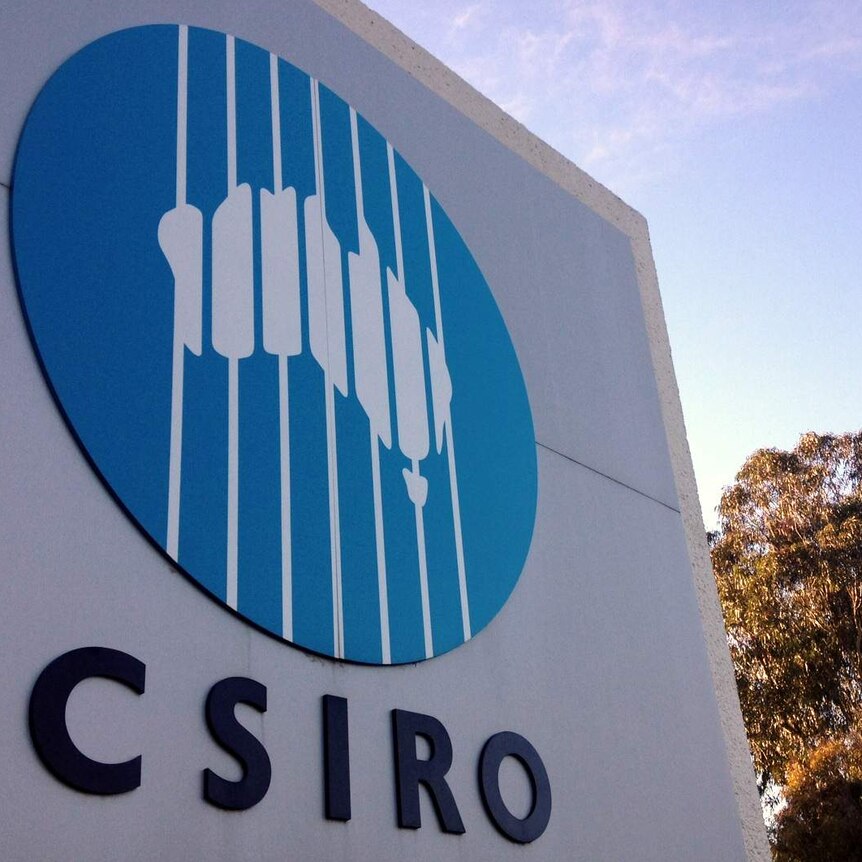 CSIRO logo on a sign with a tree in the background