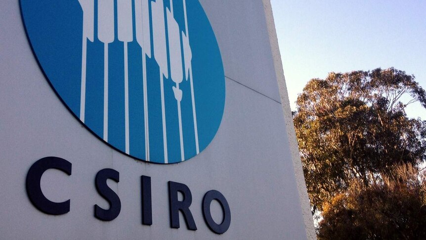 CSIRO logo on a sign with a tree in the background