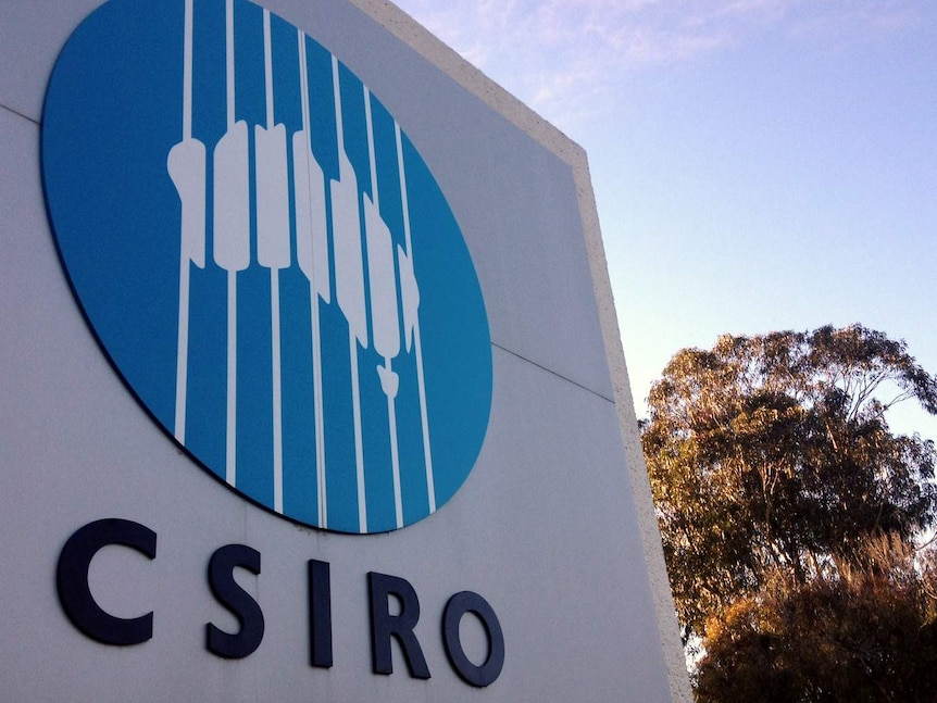 CSIRO logo with tree in the background