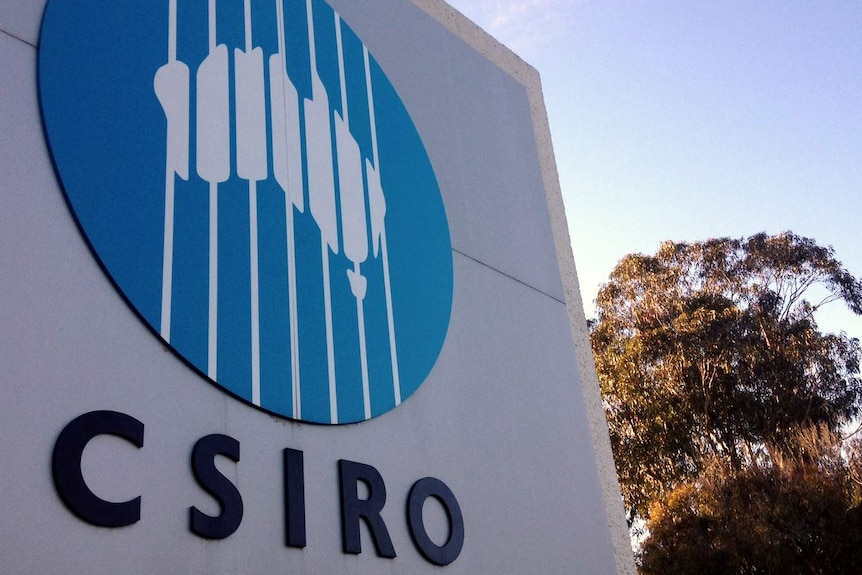 CSIRO logo with tree in the background