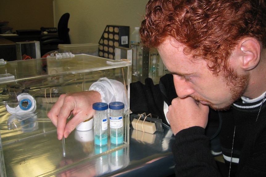 Young man in lab