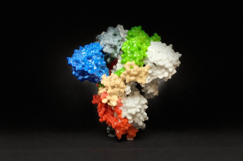 A 3D model of the sars-cov-2 spike protein that allows the virus to enter cells