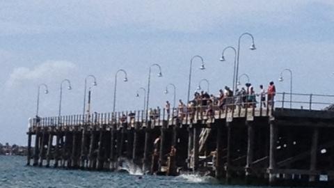 Jetty jumping Coffs Harbour
