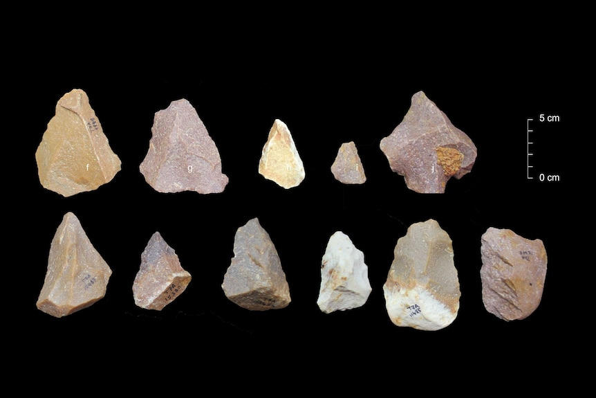 Middle Stone Age tools.