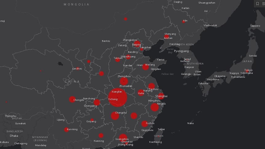 A black map of China, with various-sized red dots representing the number of coronavirus cases.