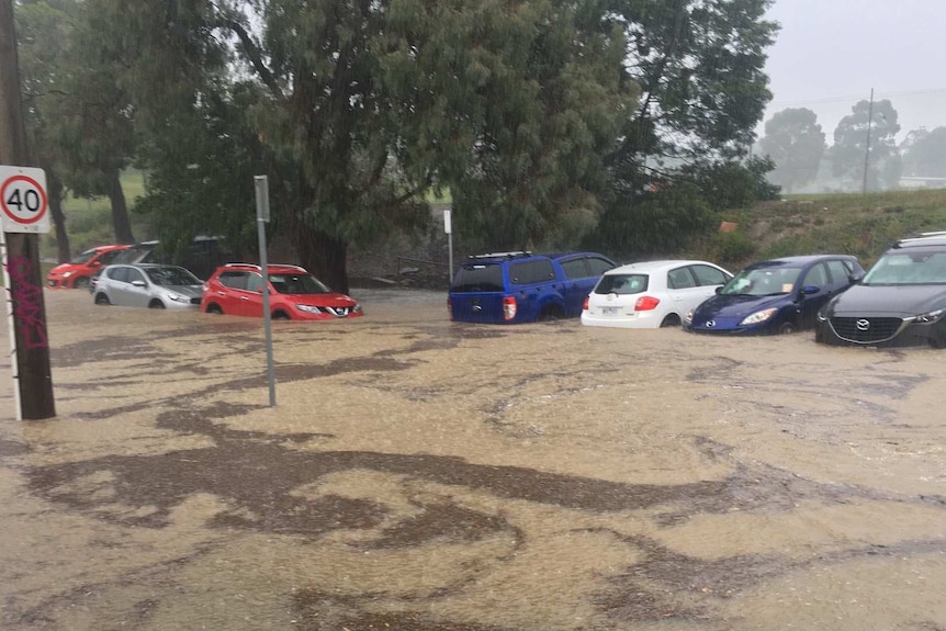 A row of cars on a suburban street are partially submerged by floodwaters as rain continues to fall.