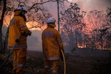 Two firefighters fight a bushfire at Pechey, with the bright glow of flames in front of them.