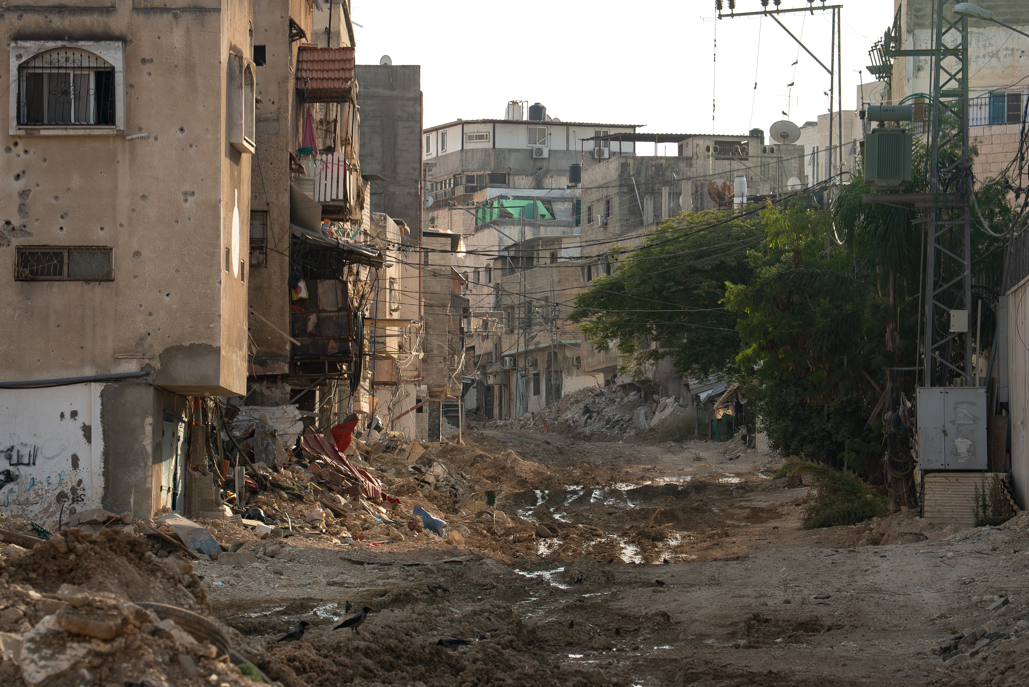 A destroyed road besides buildings in Tulkarm camp.