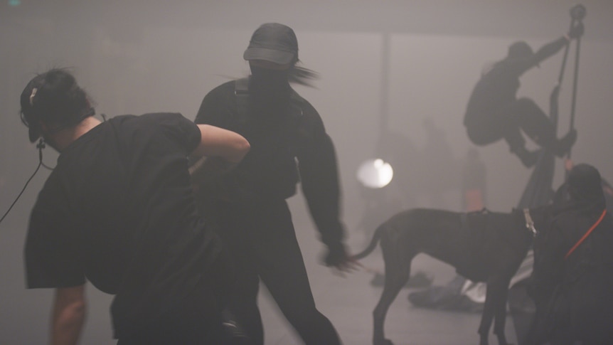 hazy room, dancers dressed in black with face masks in a flurry of action, with black dog standing still middle ground.