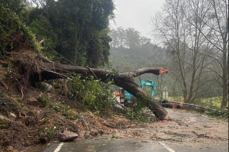 A landslide of mud blocks a road